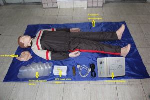 مانکن آموزش CPR بزرگسالان حرفه ای